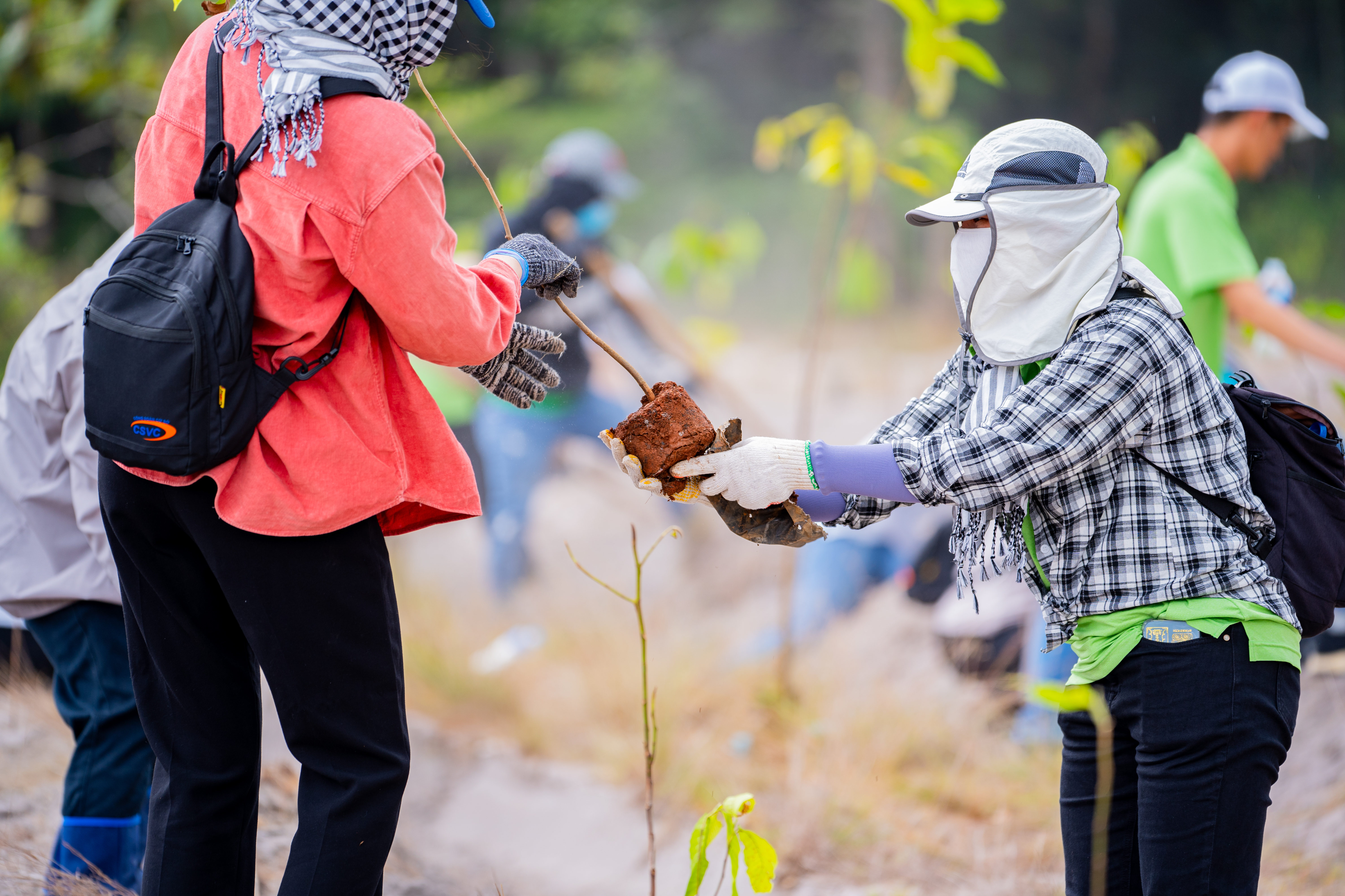 AFFORESTATION PROJECT OF 2000 TREES IN BINH CHAU - PHUOC BUU NATURE RESERVE THROUGH THE “CSVC – JOURNEY TO THE GREEN FUTURE” PROGRAM